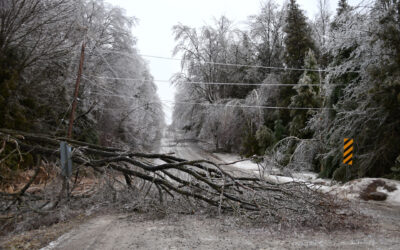 Leader Ravakka, Kylävara-tapahtuma, ti 12.5. klo 18
